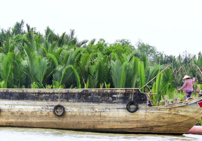 D&acirc;n miền T&acirc;y kiếm tiền triệu nhờ... đ&aacute;m l&aacute; tối trời - Ảnh 3.
