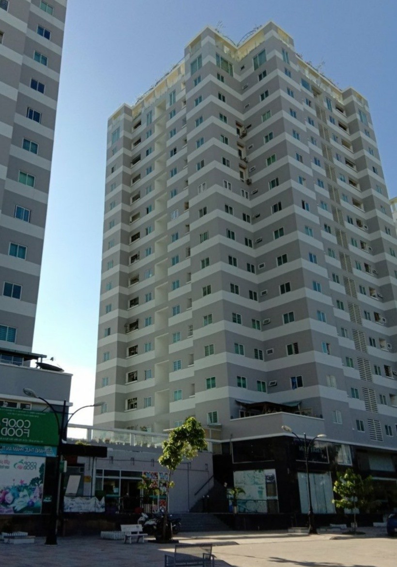 Thanh tra toàn diện lô A, chung cư Tân Tạo 1