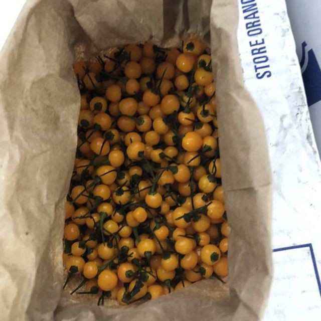 Ớt Aji Charapita mọc hoang dại nhưng có giá hơn nửa tỉ đồng/kg - Ảnh 6.