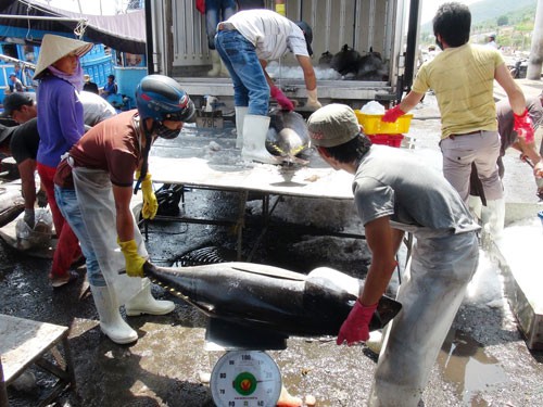 KINH TẾ BIỂN V&Agrave; CHỦ QUYỀN QUỐC GIA (*): Định vị thương hiệu biển Việt Nam - Ảnh 2.