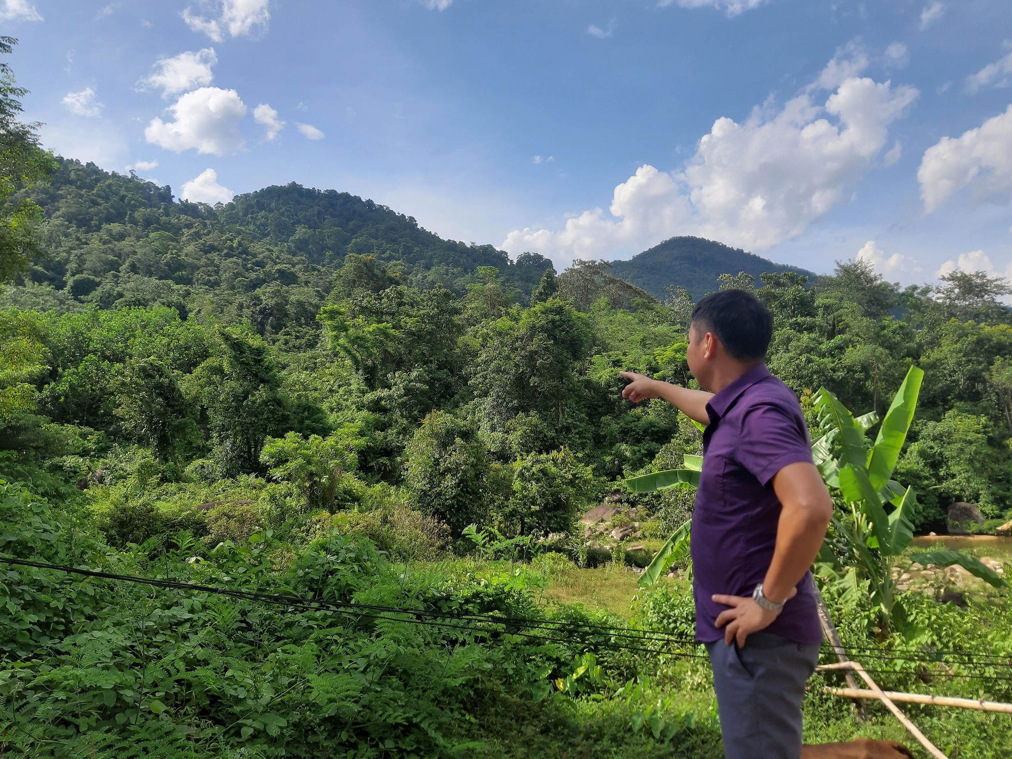 Doanh nghiệp nhận đất rừng rồi bỏ hoang