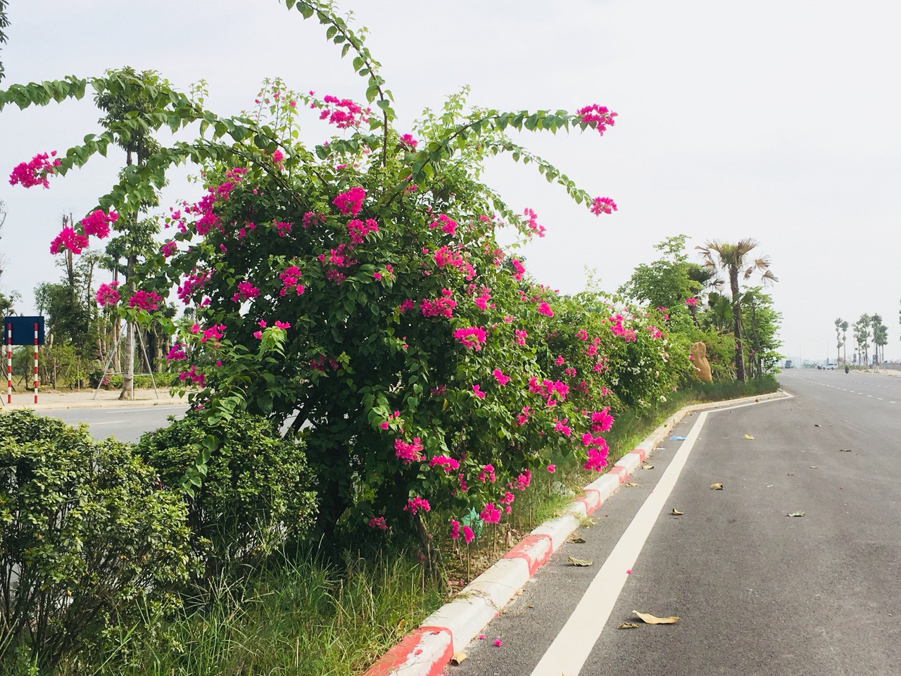 Khu đ&ocirc; thị Thanh H&agrave; đ&atilde; ho&agrave;n thiện đến 90% cơ sở hạ tầng phục vụ người d&acirc;n - Ảnh 5.