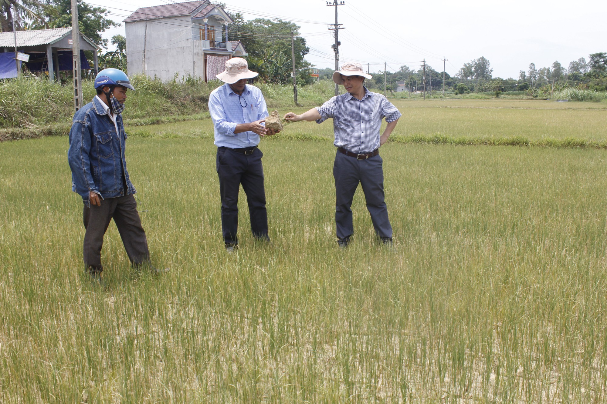 Quảng Ngãi gồng mình chống hạn