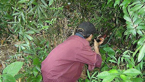 Án mạng hy hữu ở Đồng Nai