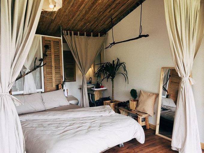 Những homestay như tổ chim giữa rừng Đà Lạt - Ảnh 2.