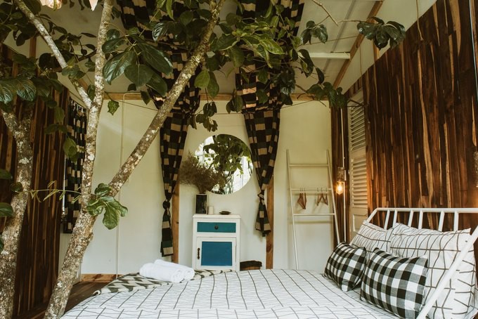 Những homestay như 'tổ chim' giữa rừng Đà Lạt