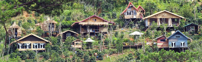 Những homestay như tổ chim giữa rừng Đà Lạt - Ảnh 5.