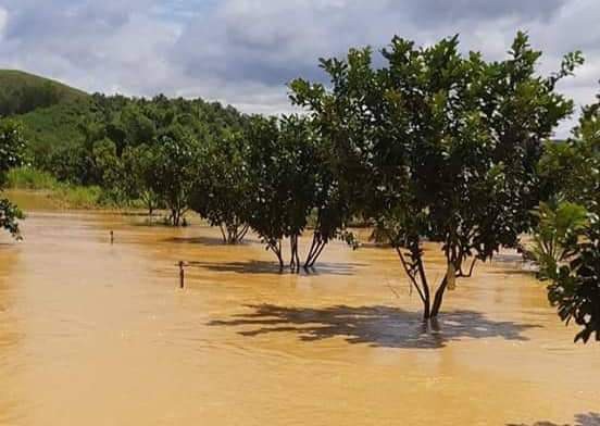 Lũ quét bất ngờ gây thiệt hại nặng ở Lâm Đồng - Ảnh 4.