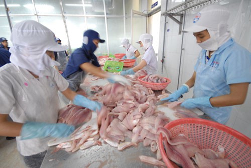 Doanh nghiệp "xắn tay" khai thác EVFTA: Cần nhà nước hỗ trợ