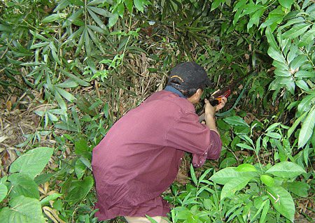 Khởi tố thợ săn bắn nhầm người vì tưởng thú rừng