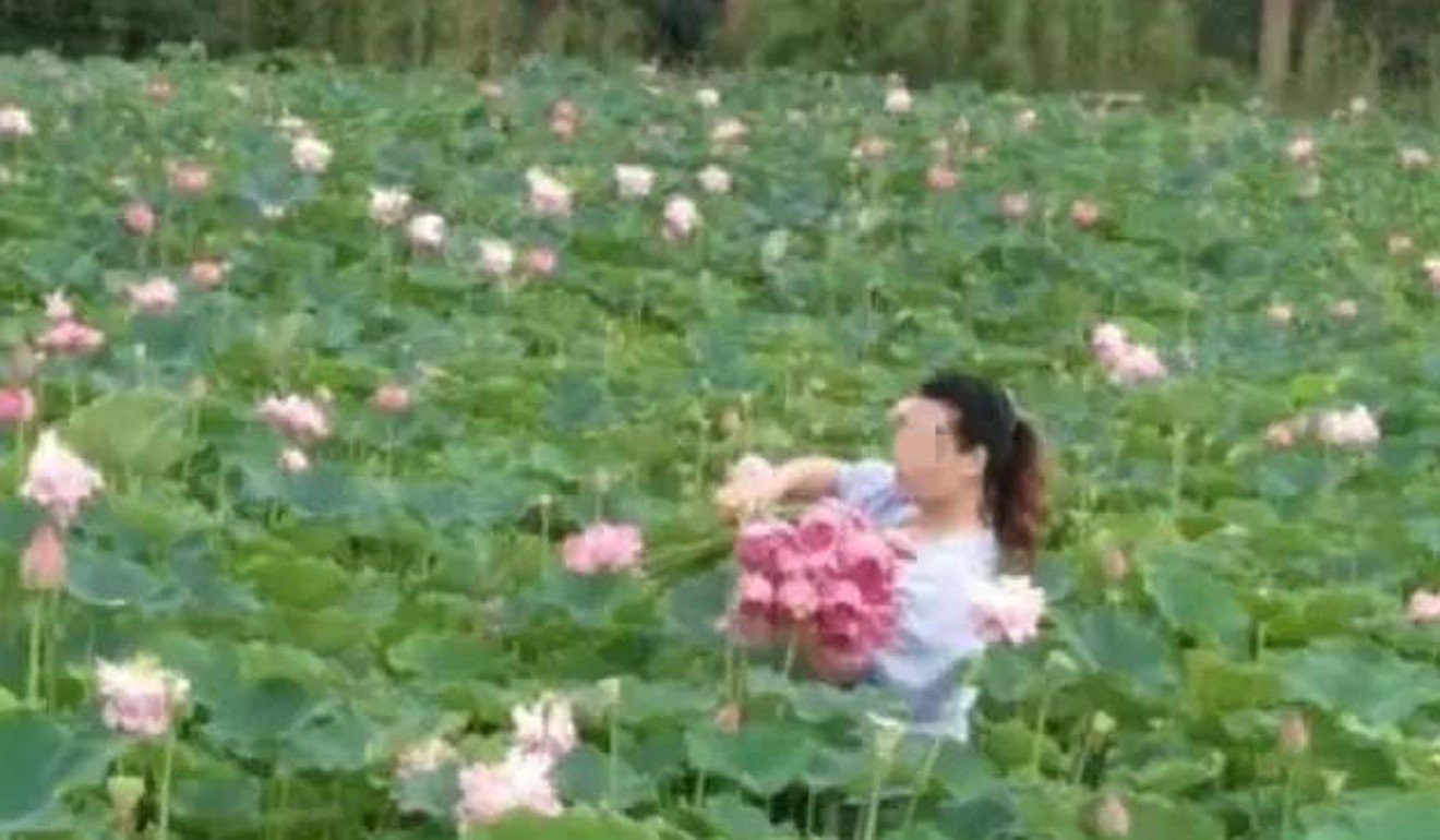 Ngỡ ng&agrave;ng cảnh h&agrave;ng trăm du kh&aacute;ch Trung Quốc leo r&agrave;o h&aacute;i trộm hoa - Ảnh 2.