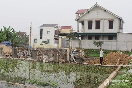 Hoàn thiện pháp luật để dẹp nạn "cò"