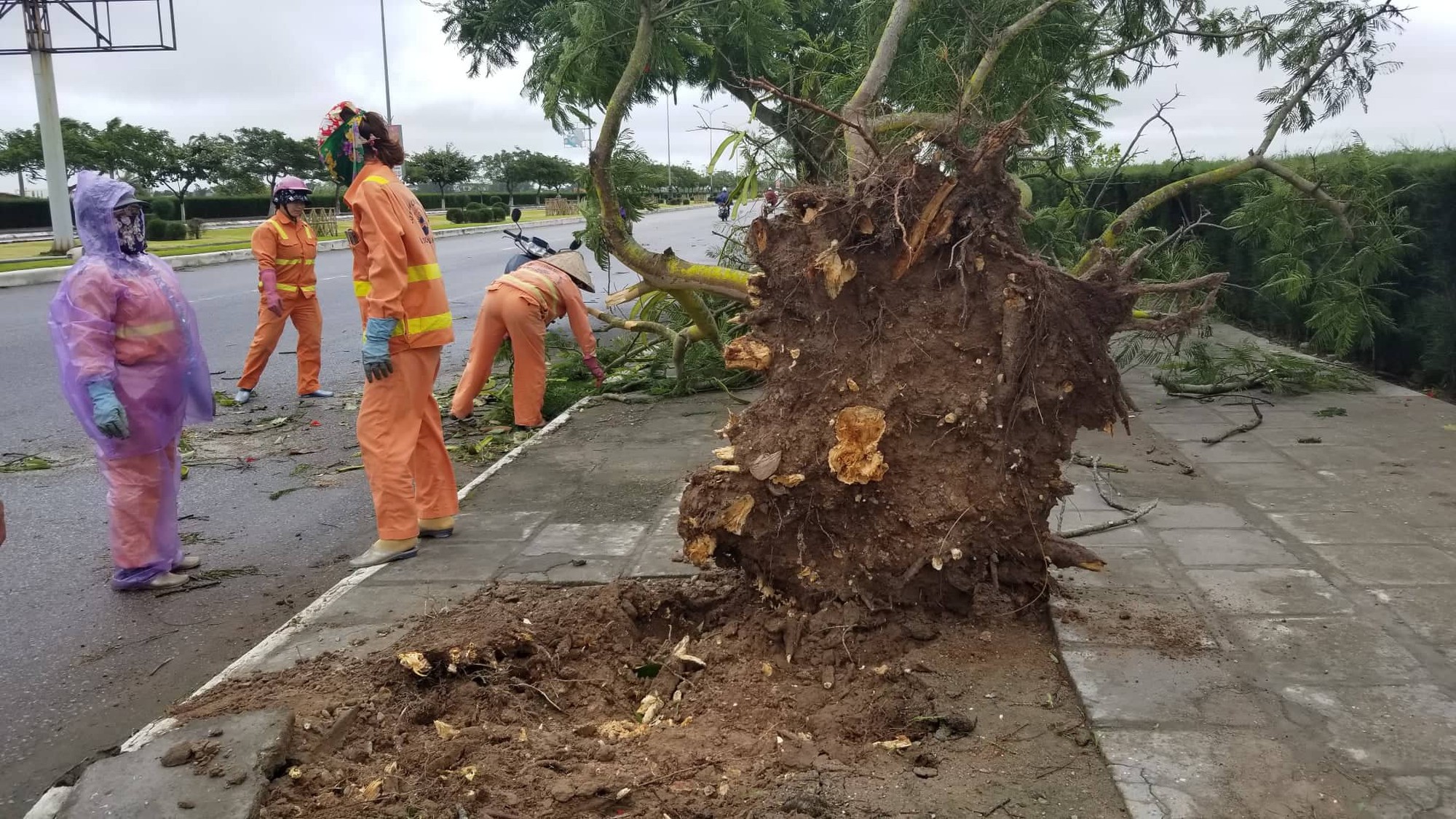 Cận cảnh nơi bão số 2 vừa quét qua - Ảnh 10.
