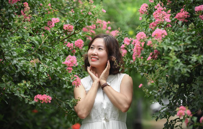 Con đường trăm gốc hoa tường vi đang nở rộ ở Hà Nội - Ảnh 2.