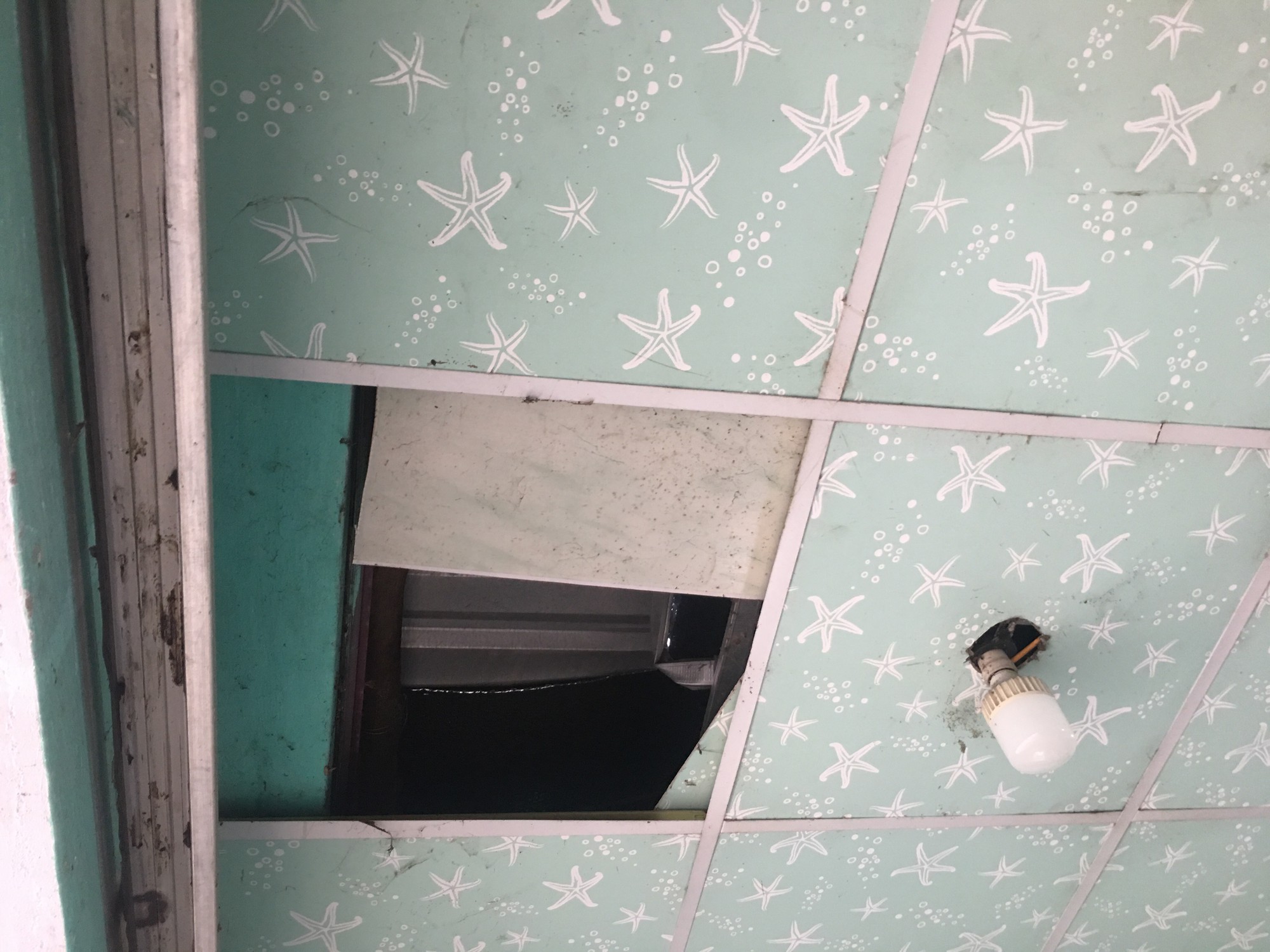 Bắt kẻ dỡ m&aacute;i t&ocirc;n, trộm 69 điện thoại trị gi&aacute; hơn 300 triệu đồng - Ảnh 1.