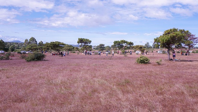 L&atilde;ng du ở phố n&uacute;i - Ảnh 5.