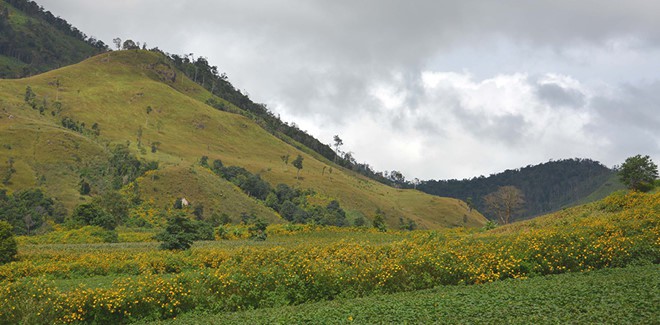 L&atilde;ng du ở phố n&uacute;i - Ảnh 4.