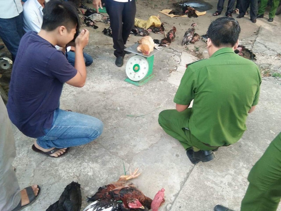C&ocirc;ng an x&atilde; mật phục bắt thanh ni&ecirc;n trộm 40 con g&agrave; - Ảnh 1.