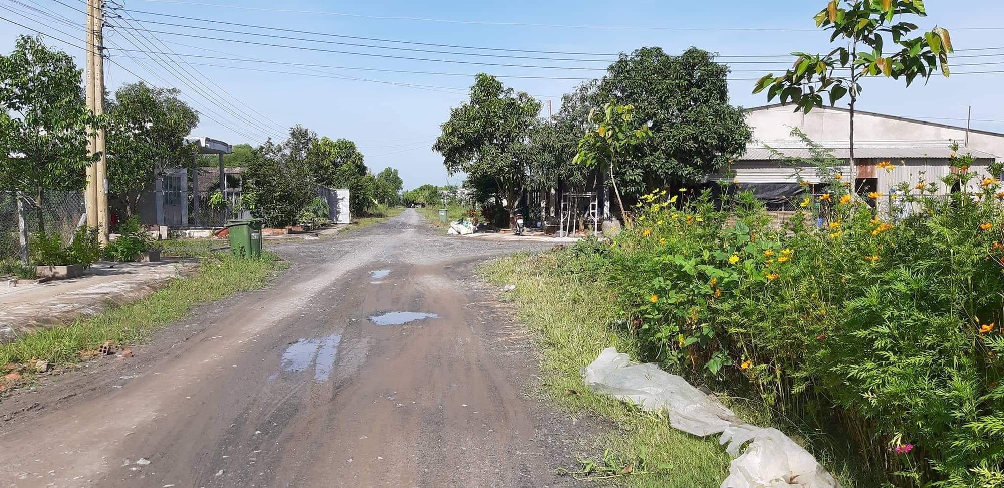Ghen tu&ocirc;ng d&ugrave;ng d&acirc;y d&ugrave; siết cổ bạn g&aacute;i đến chết   - Ảnh 1.
