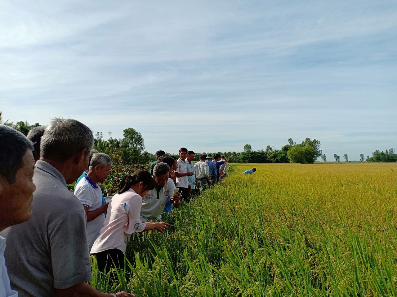 Làm giàu nhờ nghĩ khác, mê lạ
