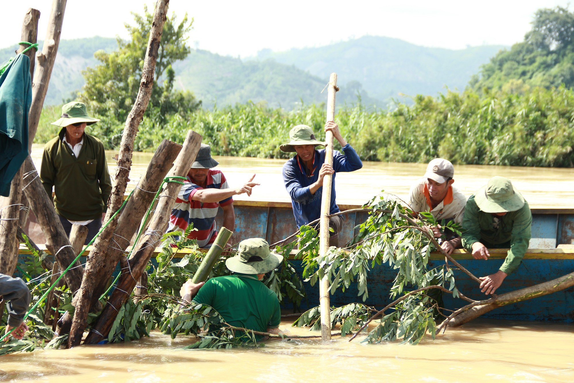 Hàng trăm người vật lộn cứu 1.000 ha lúa - Ảnh 2.