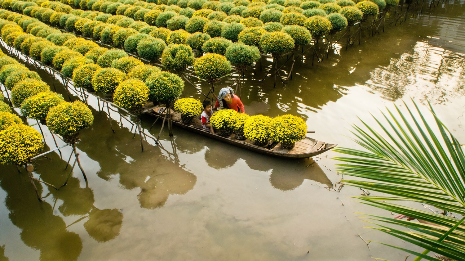 Sa Đ&eacute;c, từ thủ phủ hoa đến trung t&acirc;m đ&ocirc; thị, du lịch trọng điểm của miền T&acirc;y - Ảnh 2.