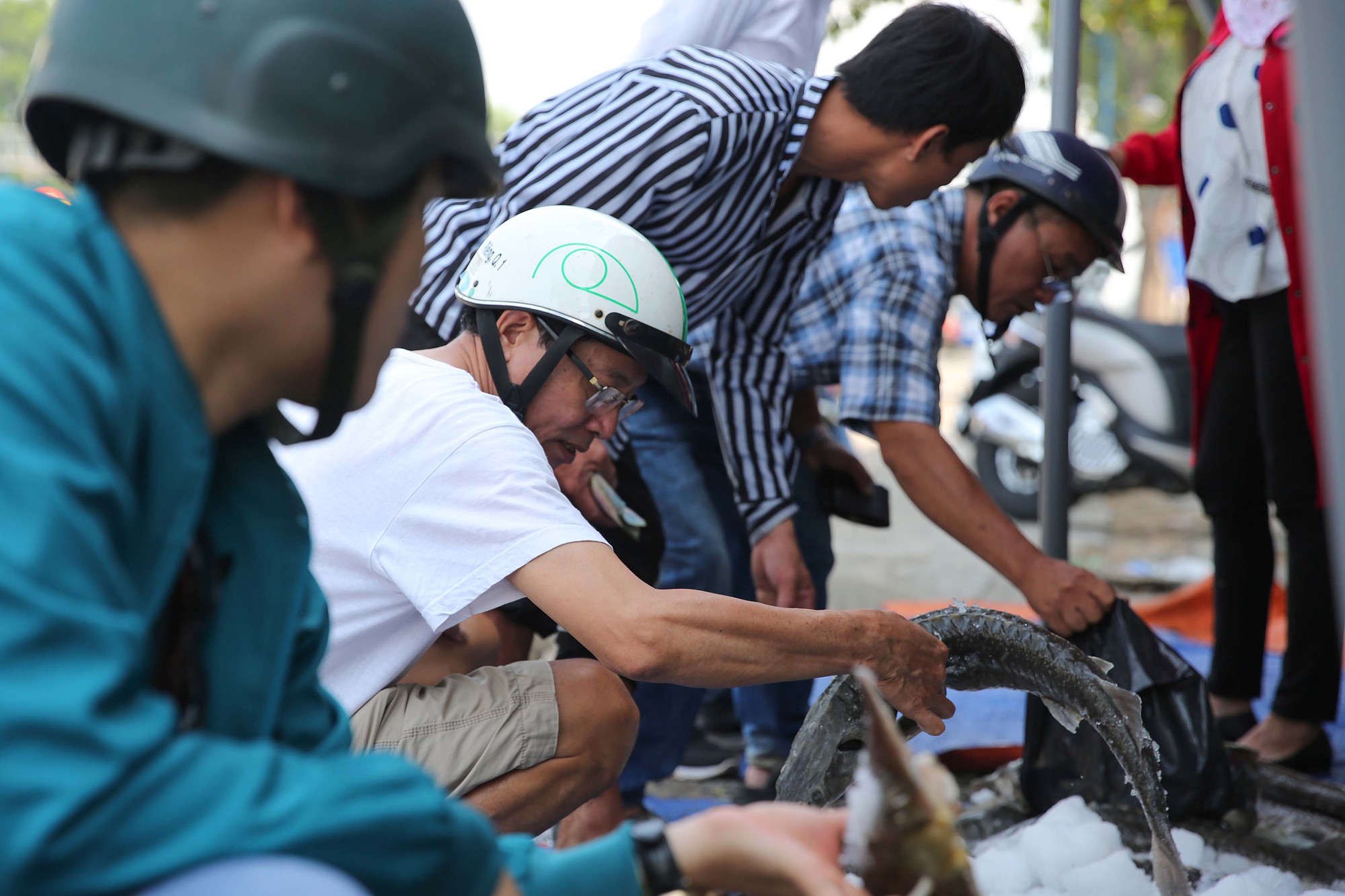 Người dân TP HCM chen nhau mua cá tầm bị ngộp nước