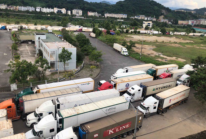 Trung Quốc siết thông quan, 500 xe container thanh long ùn ứ tại cửa khẩu Lào Cai