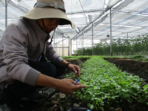 Phát triển phân bón hữu cơ trong nước