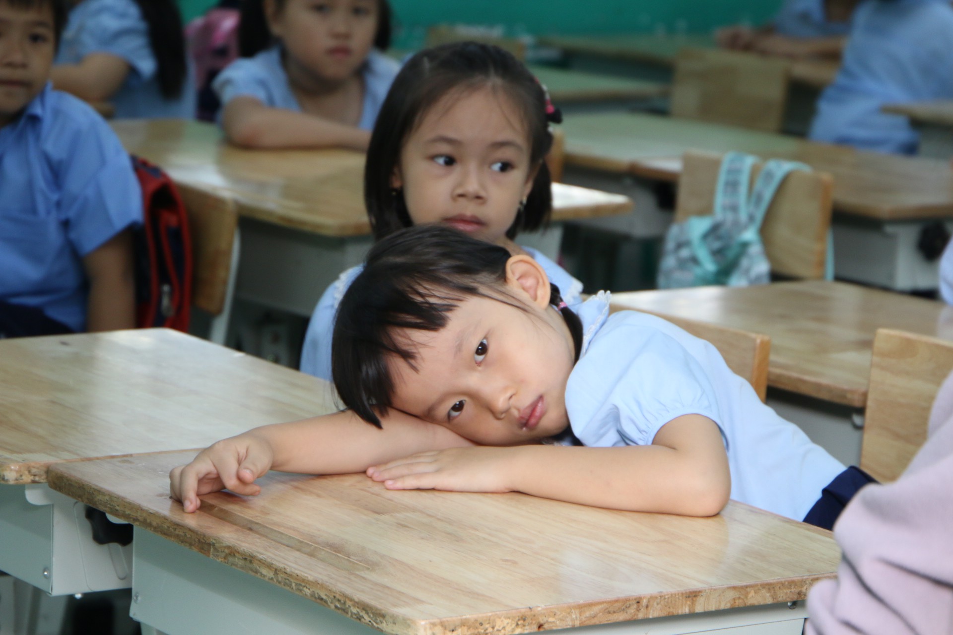 Ph&oacute;ng sự ảnh: Ch&agrave;o lớp 1 - Ảnh 22.