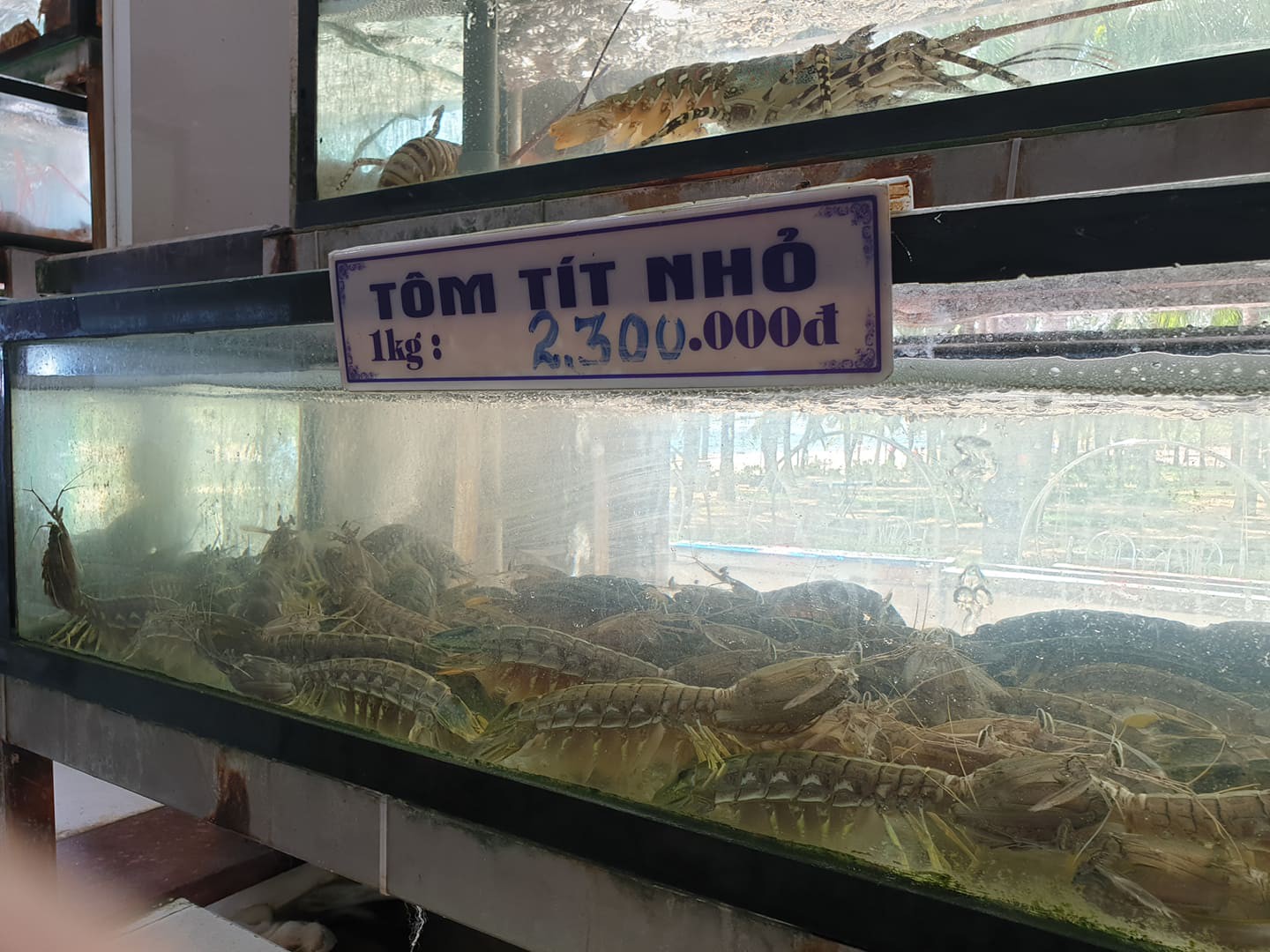 Nh&agrave; h&agrave;ng ở Đ&agrave; Nẵng l&yacute; giải h&oacute;a đơn bữa ăn hải sản 85 triệu đồng - Ảnh 4.