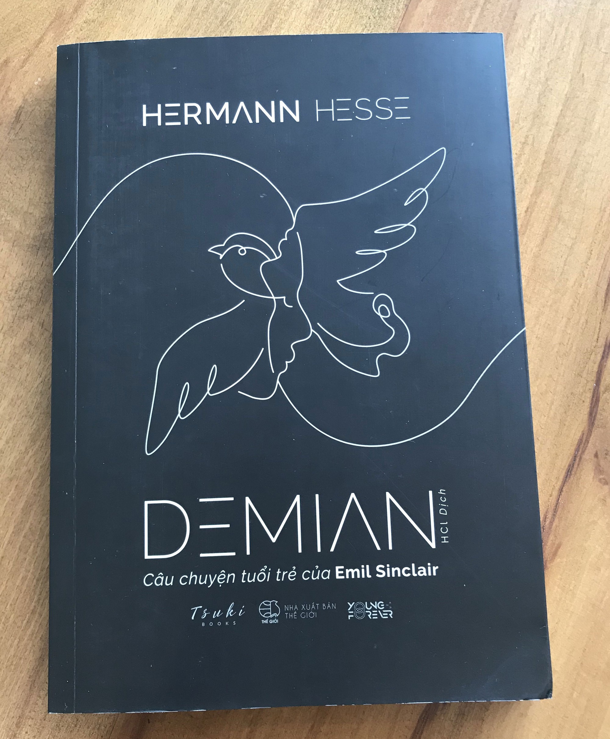 Hermann Hesse v&agrave; những h&agrave;nh tr&igrave;nh tuổi trẻ - Ảnh 1.