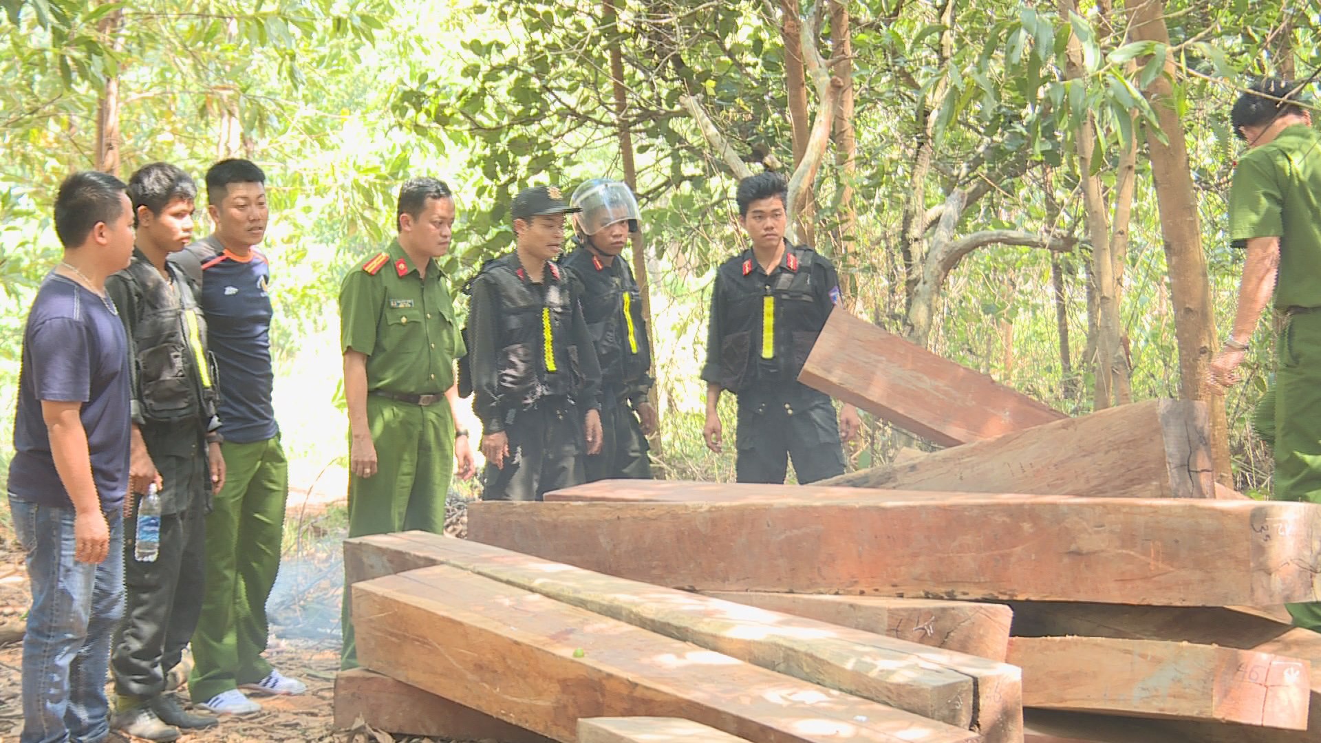 Điều c&ocirc;ng an kh&aacute;c địa b&agrave;n đi triệt ph&aacute; đường d&acirc;y khai th&aacute;c gỗ lậu cực lớn - Ảnh 7.