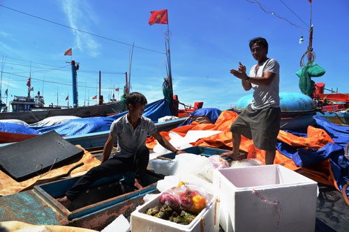 NHỮNG KÌNH NGƯ CỦA BIỂN: Lý Sơn - miền "sói biển"
