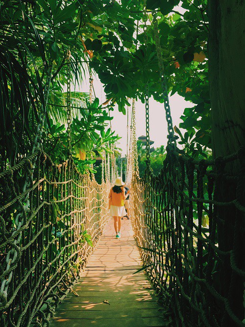Từ mưa trong nhà đến nấc thang lên thiên đường, ra mà xem Singapore ngát xanh này! - Ảnh 18.