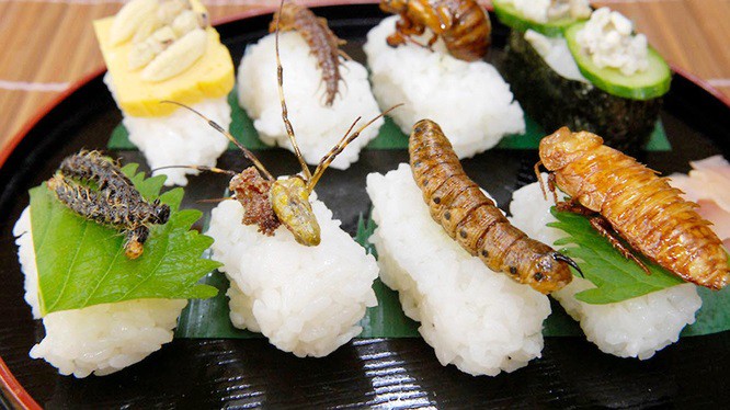 Thái Lan: Côn trùng được phục vụ tại khách sạn 5 sao như đặc sản