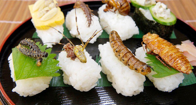 Thái Lan: Côn trùng được phục vụ tại khách sạn 5 sao như đặc sản - Ảnh 5.
