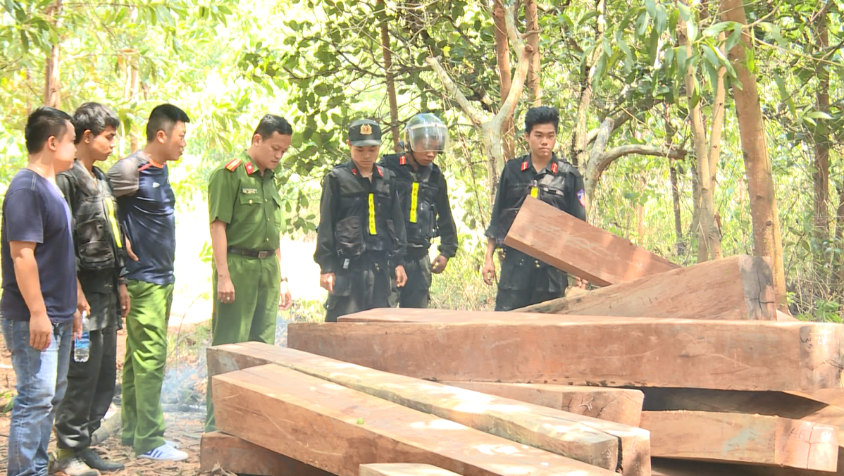 Điều công an khác địa bàn bắt gỗ lậu: Đột kích 5 điểm, thu thêm 230 m3 gỗ - Ảnh 1.
