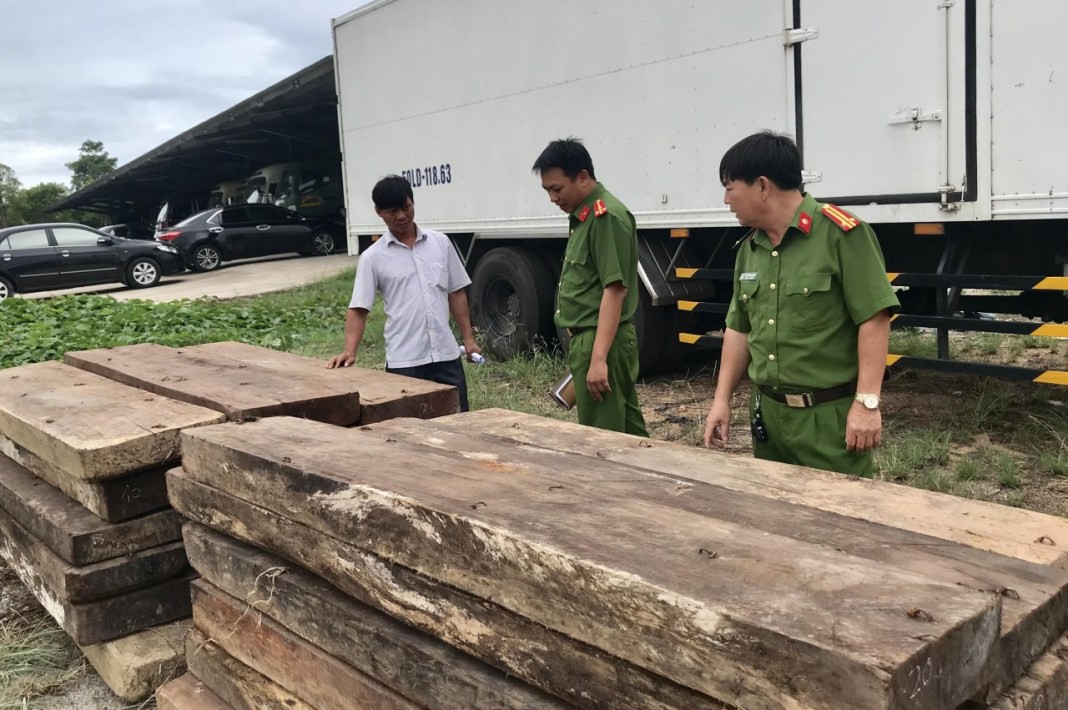 Phát hiện kho chứa gỗ "lậu" quý ở Trường Sơn