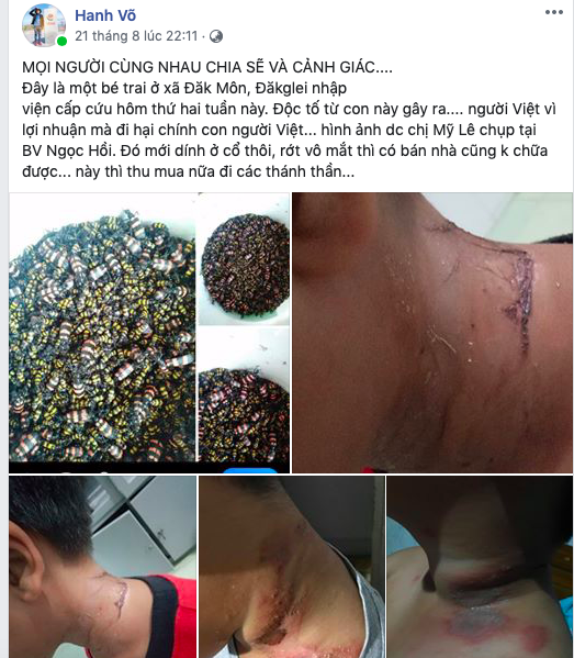 Kiểm tra việc thương lái lùng mua bọ 3 sọc, độc hại giá cao - Ảnh 2.