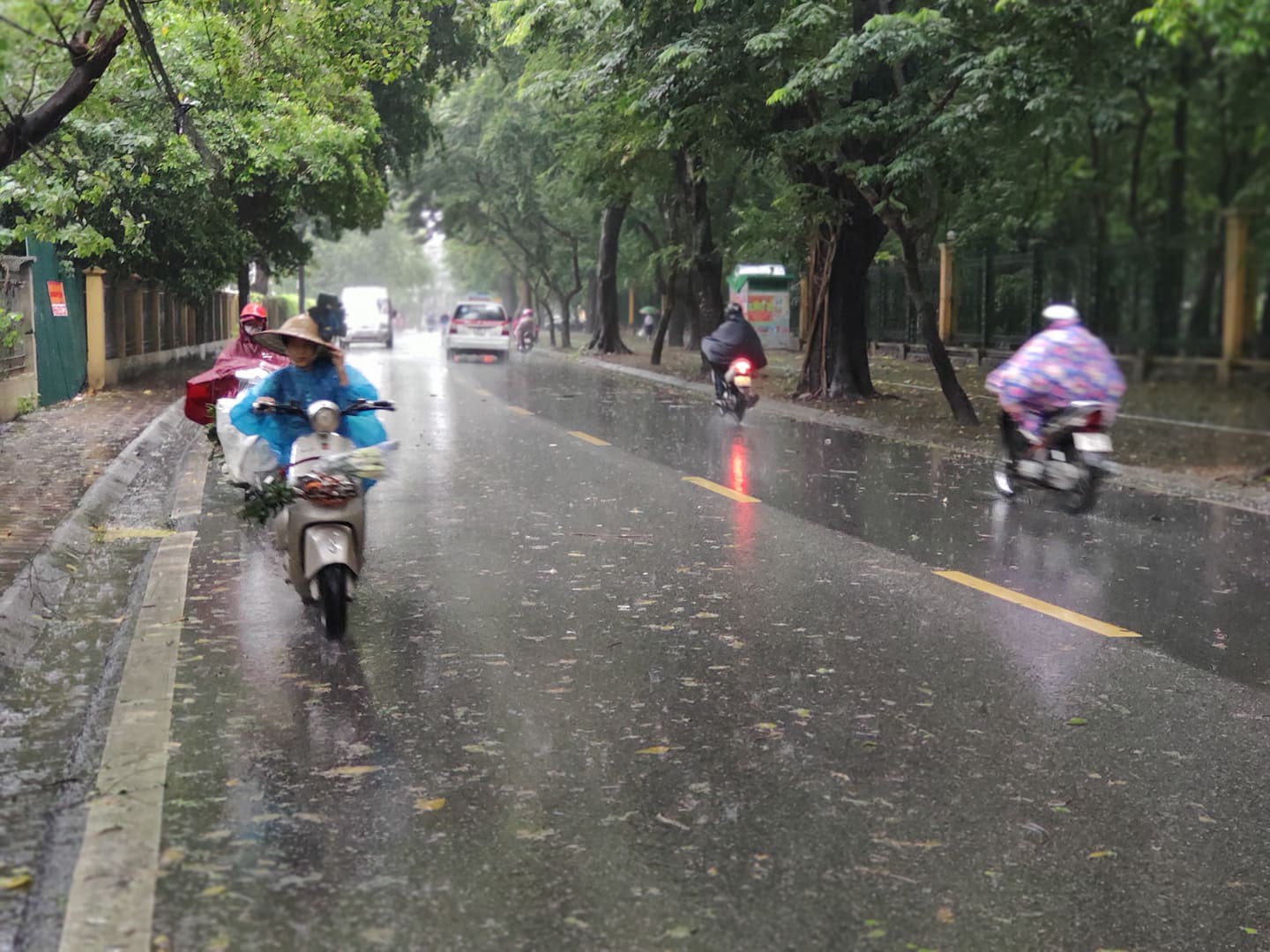 H&agrave; Nội: Mưa rất to, c&acirc;y cối đổ la liệt  do ảnh hưởng b&atilde;o số 3 - Ảnh 4.