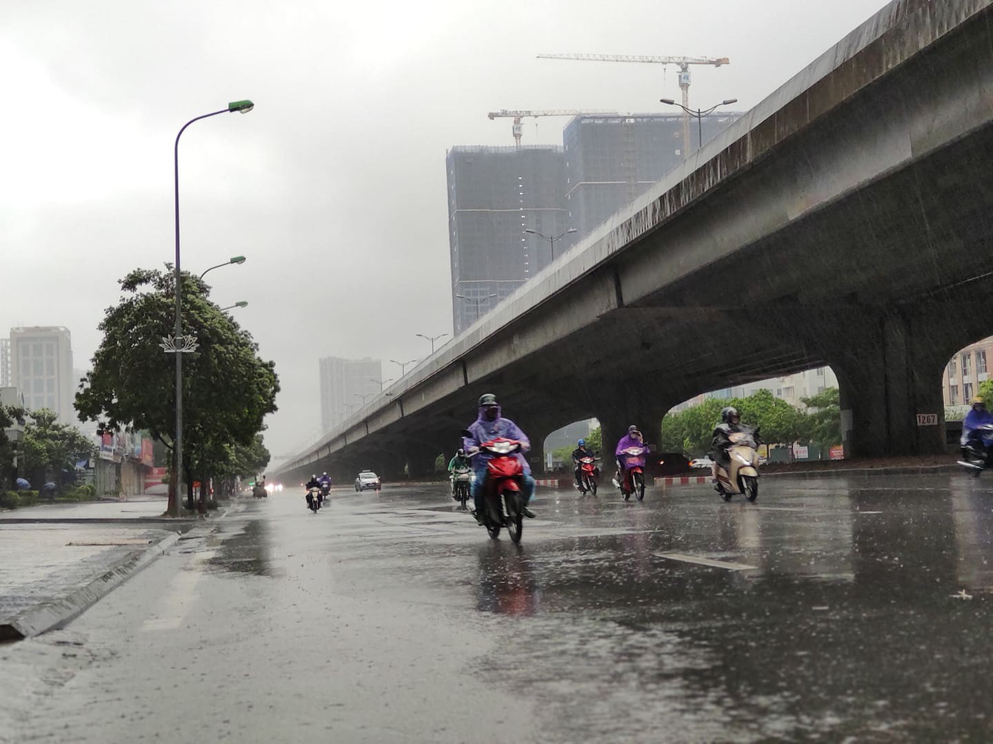 H&agrave; Nội: Mưa rất to, c&acirc;y cối đổ la liệt  do ảnh hưởng b&atilde;o số 3 - Ảnh 5.