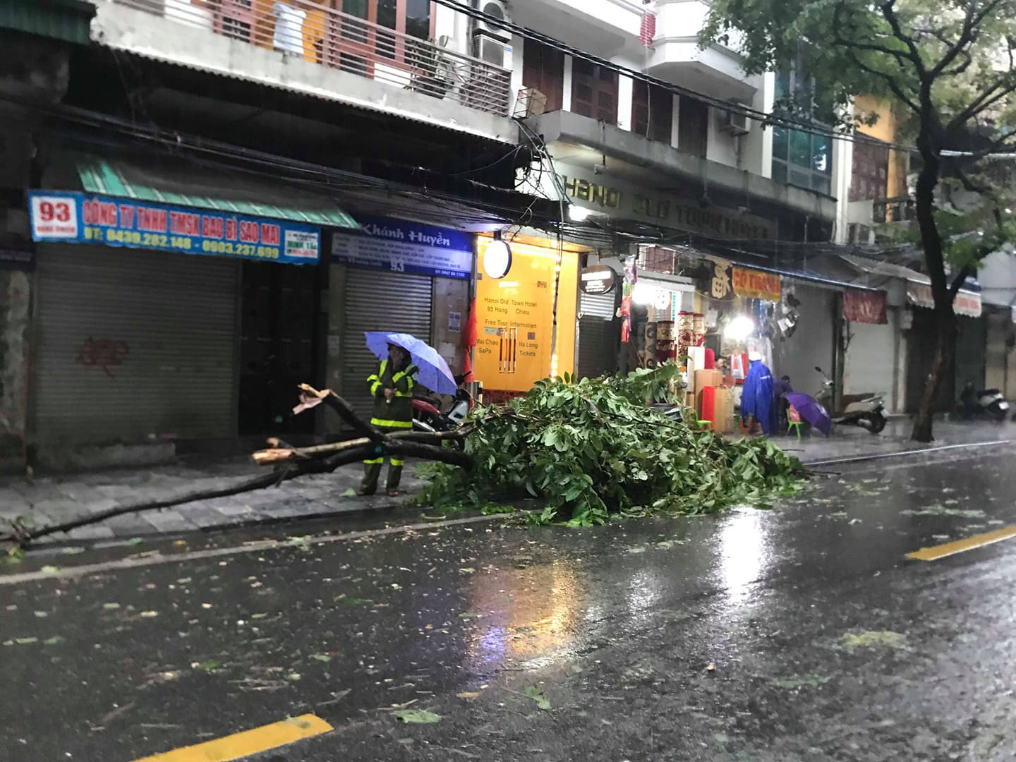 H&agrave; Nội: Mưa rất to, c&acirc;y cối đổ la liệt  do ảnh hưởng b&atilde;o số 3 - Ảnh 6.