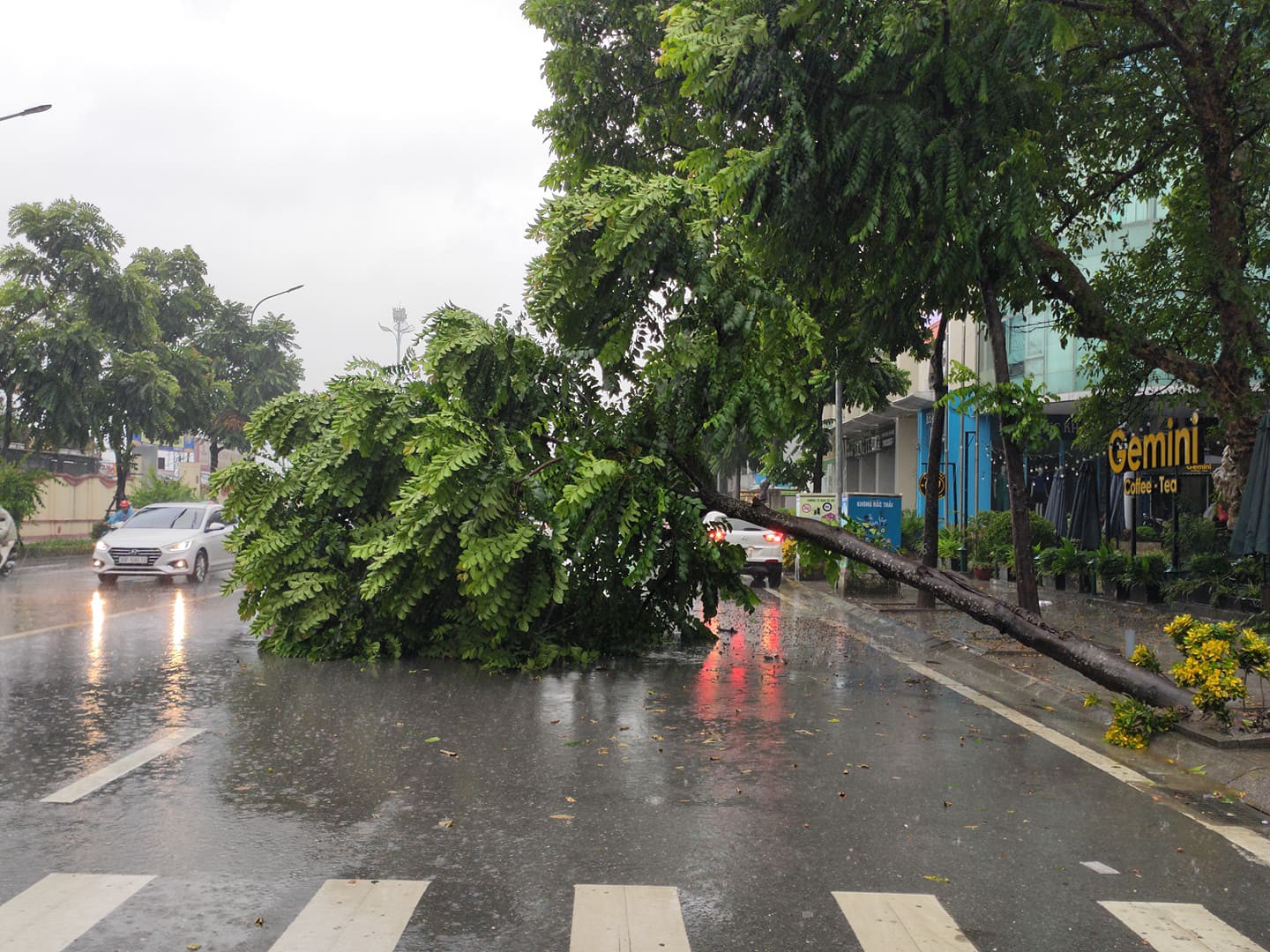 H&agrave; Nội: Mưa rất to, c&acirc;y cối đổ la liệt  do ảnh hưởng b&atilde;o số 3 - Ảnh 7.