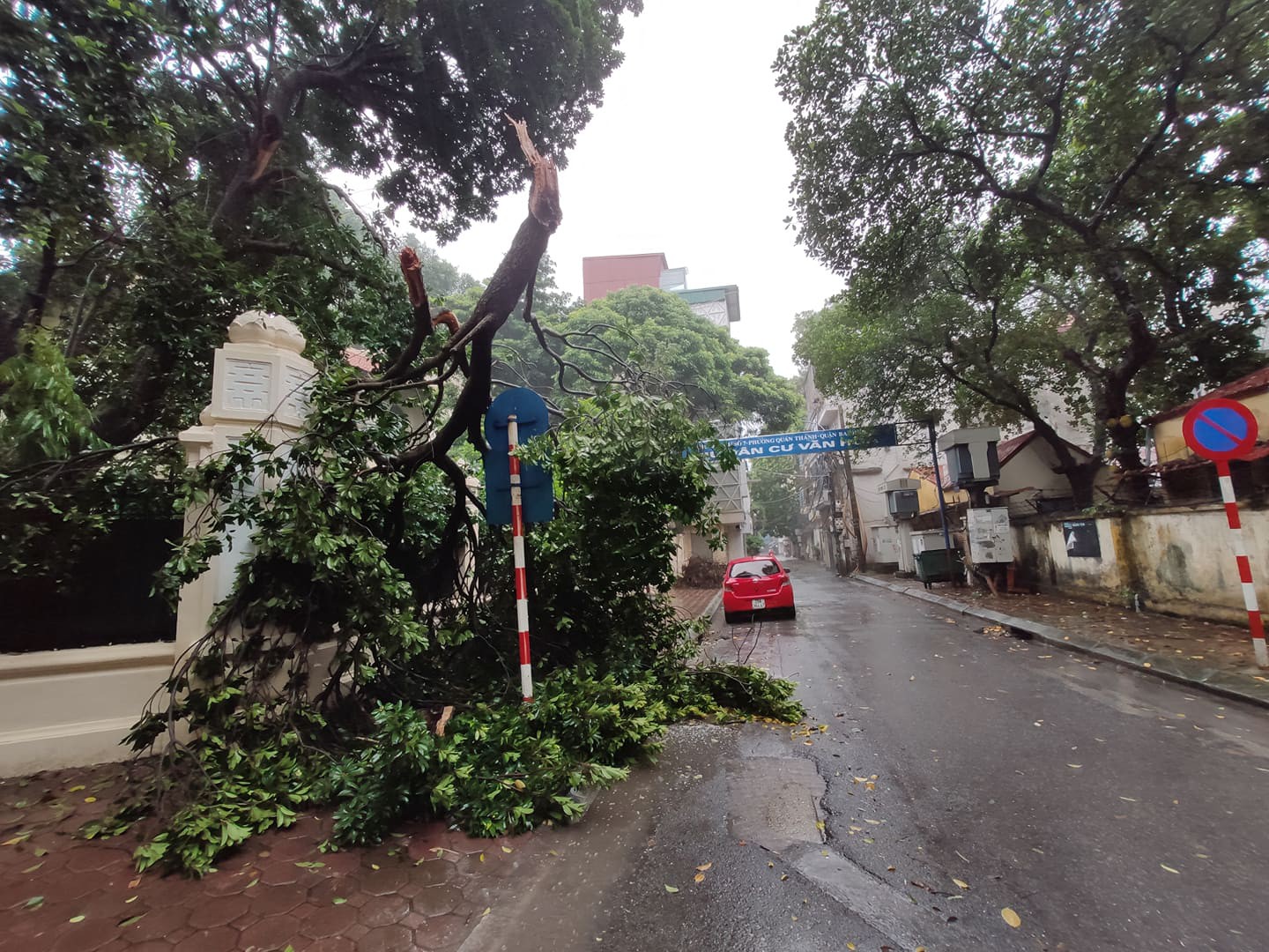 H&agrave; Nội: Mưa rất to, c&acirc;y cối đổ la liệt  do ảnh hưởng b&atilde;o số 3 - Ảnh 1.