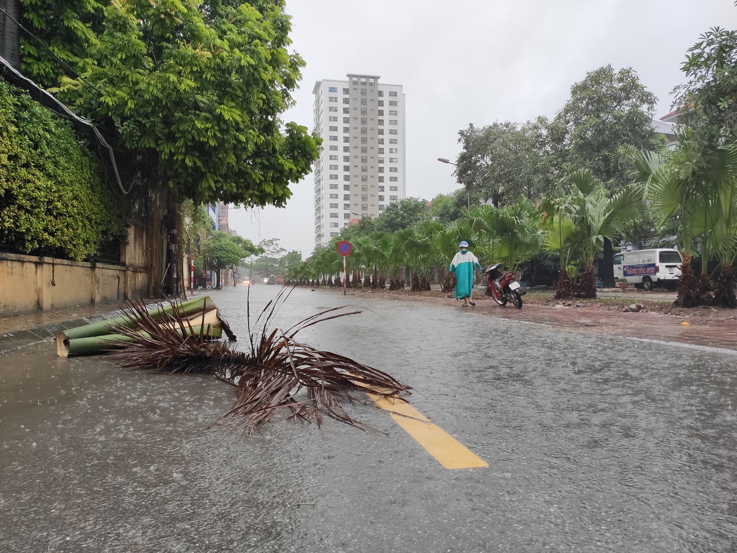 H&agrave; Nội: Mưa rất to, c&acirc;y cối đổ la liệt  do ảnh hưởng b&atilde;o số 3 - Ảnh 9.