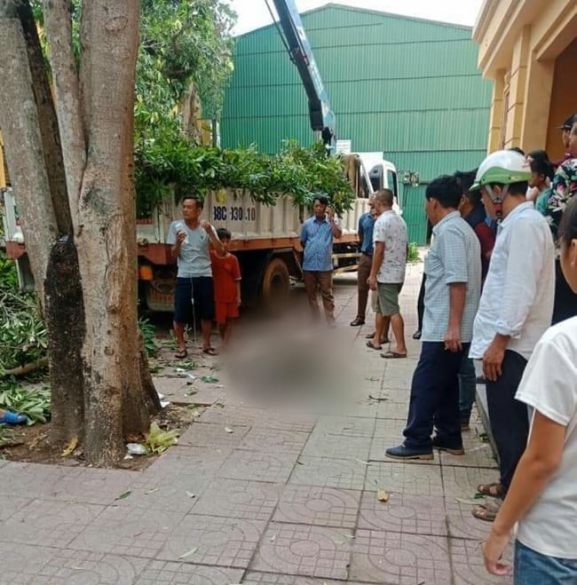 Đang cắt c&agrave;nh c&acirc;y, th&ugrave;ng cẩu rơi khiến người đ&agrave;n &ocirc;ng tử vong - Ảnh 1.