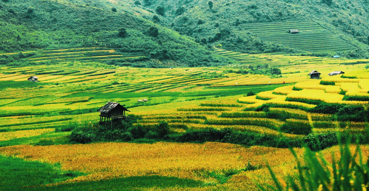 Lịch l&uacute;a ch&iacute;n T&acirc;y Bắc, Đ&ocirc;ng Bắc, l&ecirc;n kế hoạch săn ảnh ngay th&ocirc;i! - Ảnh 2.