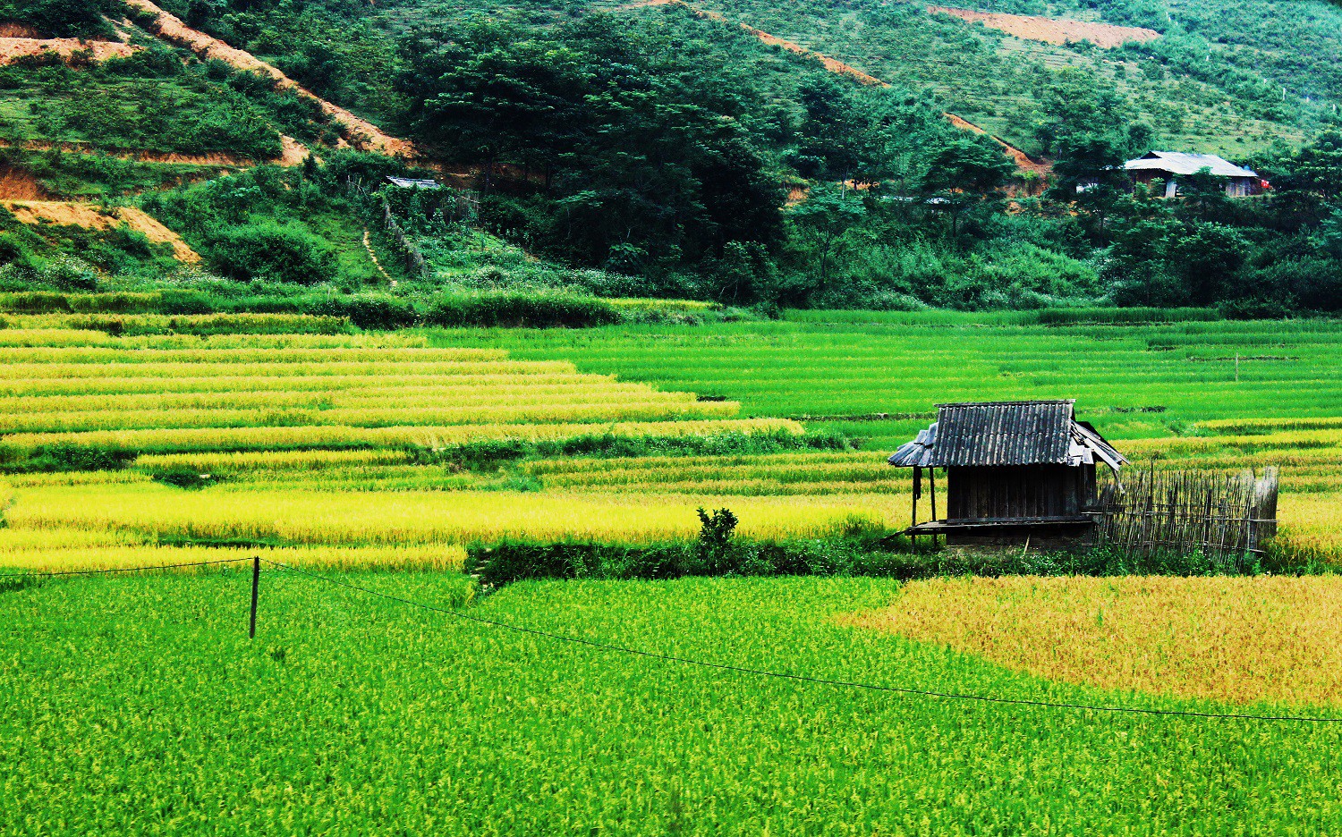 Lịch l&uacute;a ch&iacute;n T&acirc;y Bắc, Đ&ocirc;ng Bắc, l&ecirc;n kế hoạch săn ảnh ngay th&ocirc;i! - Ảnh 15.