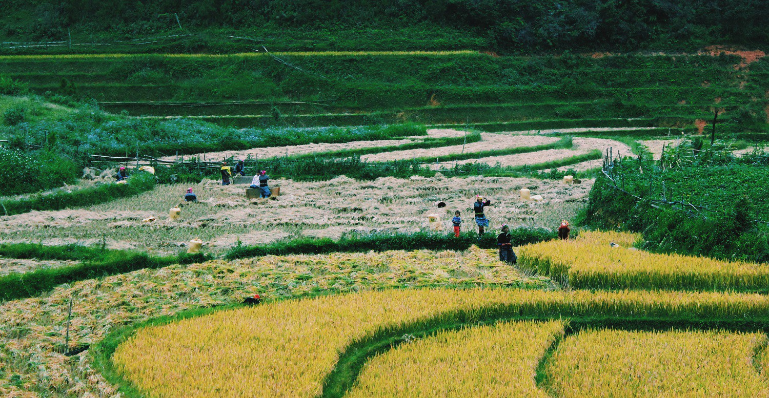 Lịch l&uacute;a ch&iacute;n T&acirc;y Bắc, Đ&ocirc;ng Bắc, l&ecirc;n kế hoạch săn ảnh ngay th&ocirc;i! - Ảnh 11.